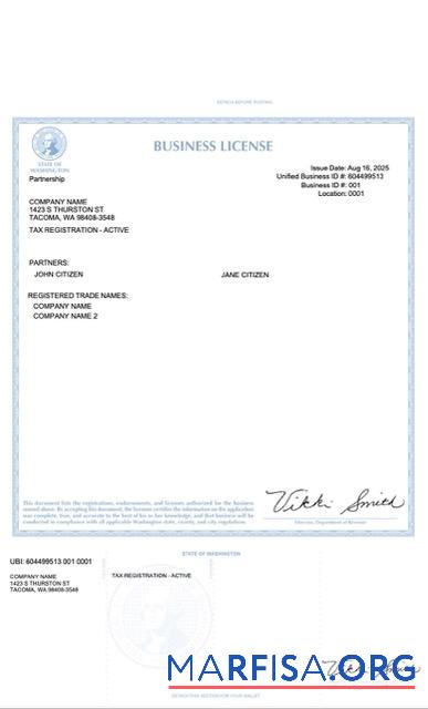 Downloadable USA Washington business license Word and PDF template